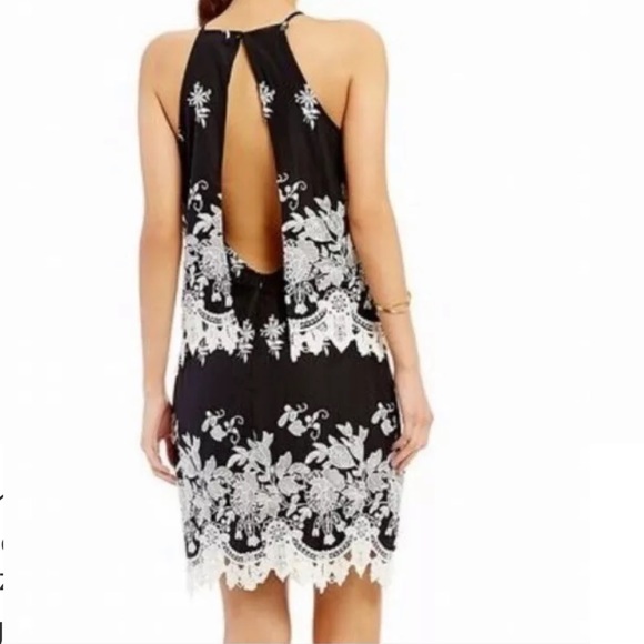 Gianni Bini Dresses & Skirts - Gianni Bini James Embroidered Lace Open Back Dress